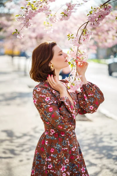 Gyönyörű Fiatal Virágzó Sakura Fákon Egy Tavaszi Meleg Napos Nap — Stock Fotó