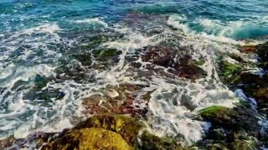 Okyanus dalgaları canlı kayaların üzerinde yavaşça süzülür. Sahilde büyüleyici bir su ve ışık dansı yaratır. Güneş ışığı bu sakin kıyı manzarasının güzelliğini arttırır.