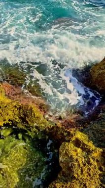 Parlak güneş ışığı, okyanus dalgalarının kıyıya çarpmasıyla kıyı sularında çarpıcı bir renk kontrastı yaratarak canlı kayaları aydınlatır.