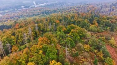 Geniş ağaçlarla kaplı sakin tepelerde, yumuşak bulutlu bir gökyüzü altında canlı kırmızılar ve yeşiller arasındaki bereketli manzara geçişlerini gösteren sonbahar renklerinin çarpıcı bir dizisi sergilenir.