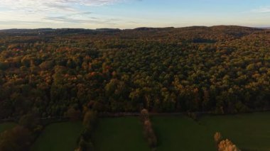 Renkli sonbahar yaprakları yumuşak akşam ışığı altında yayılan bir ormanı örtüyor kırsal alanda huzur dolu manzaralar doğayı sevenler için sakin bir atmosfer yaratıyor.