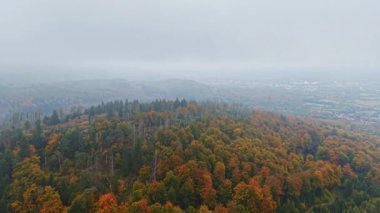 Sabahın erken saatlerinde sisle kaplanmış renkli sonbahar yapraklarıyla bezenmiş yuvarlanan tepelerin manzarası doğal güzelliklerin sakin bir atmosferini yaratıyor.