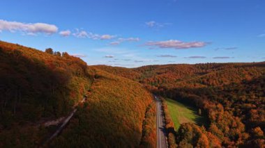 Hışırdayan yapraklar, parlak mavi bir gökyüzünün altında yuvarlanan tepelerle çevrili, dolambaçlı bir vadide güneş ışığı gibi turuncu ve kırmızı bir duvar halısı yaratır.