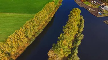 Altın ve portakal yaprakları sudaki canlı renkleri yansıtan sakin nehir boyunca ağaçları doldurur sakin kırsal bir manzara sonbahar boyunca doğanın güzelliğini yakalar.
