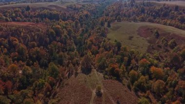 Rengarenk sonbahar yapraklarının çarpıcı manzarası tepeleri ve vadileri kaplıyor sıcak altın renklerle dolu alacakaranlıkta manzaralı kırsal bölgede gezinen yumuşak bir dere ile.