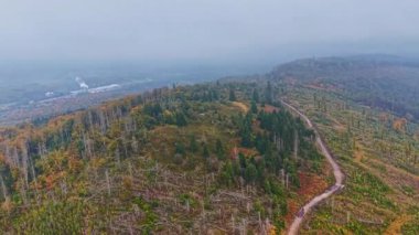 Yaprakları değişen uzun ağaçlar yuvarlanan tepelerde çarpıcı bir manzara yaratıyor. Dolambaçlı bir yol, yumuşak sisle yıkanmış, canlı sonbahar renklerini keşfetmeye davet eder..