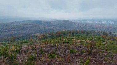 Huzurlu dağlık bir manzaranın ortasında, renkli sonbahar ağaçları sonsuz yeşillik parçalarıyla karışıyor. Sisler uzak tepeleri kaplıyor, sakin ve huzurlu bir manzara yaratıyor, keşifleri davet ediyor..