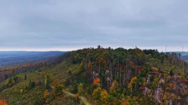 Güneş ışığı bulutların arasından doğuyor, kayan tepeleri ve canlı tarlaları aydınlatıyor. Ağaçlar manzarayı noktalıyor, huzurlu kırsal bir ortamda doğanın güzelliğini gösteriyor..