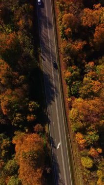 Güneş batarken, yumuşak bir ışık saçan ve alacakaranlık renkleriyle dolu sakin bir atmosfer yaratan yumuşak nehirler engin bir bataklık boyunca kıvrılır..