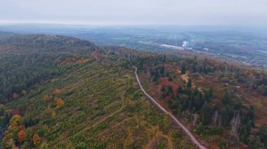 Bereketli tepeler bulutlu bir gökyüzünün altında renkli yapraklarla kaplı. Dolambaçlı bir yol bu sakin sonbahar manzarasını keşfetmeye davet ediyor, doğanın barışçıl cazibesini ortaya çıkarıyor..