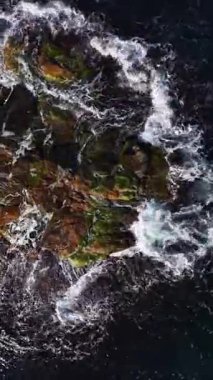 Dalgalar çarptığında kıyıya yakın yosun kaplı kayaların etrafında dönen temiz su dinamik hareket ve sükunetle dolu güzel bir sahil sahnesi oluşturuyor..