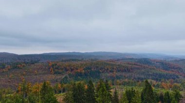 Yemyeşil ağaçlar, yuvarlanan tepeleri örterken turuncu ve sarı yapraklar sergiler. Bulutlu gökyüzü bu orman sahnesinde sakin bir atmosfer yaratır, düşüşün özünü yakalar..