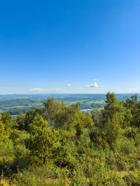 Yükselen ağaçlar, parlak mavi gökyüzünün altındaki yuvarlanan yeşil tepelerin büyüleyici manzarasını çerçeveliyor. Güneş batıyor, parlak manzarayı ve uzak dağları aydınlatıyor..