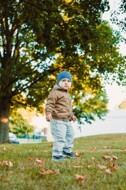Genç bir çocuk, kıtır bir sonbahar gününde, bir parkta durmuş etrafı yapraklarla ve ağaçların altın renkleriyle çevriliyken merakla bakıyor. Kış giysileri onu sıcak tutuyor..
