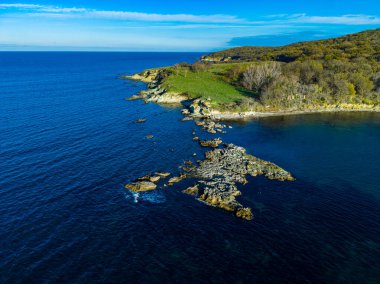 Parlak güneş ışığı, suyun karayla buluştuğu kayalık sahilde parlıyor. Okyanustan uzakta, kumsalın uzak köşesinde ağaçlı bir tepe görülür. Huzurlu bir doğal manzara yaratır..