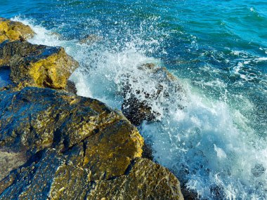 Güneş gökyüzünde parlarken dalgalar kıyı boyunca kayalara çarpıyor. Su taşların üzerine sıçrıyor, beyaz köpük ve sahilde canlı bir sahne oluşturuyor..