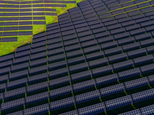 Güneş panellerinin sıraları zemini güneşli bir alanla kaplıyor. Yeşil çimenler kenarları özetliyor. Paneller düz çizgilerle hizalanır ve güneşten enerji toplamak için çalışır..