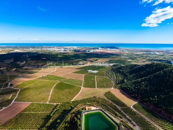 Turuncu ve mandalina ağaçları dağlık bölgeyi kıyı şeridine uzanan yeşillik sıralarıyla doldurur. Mavi deniz berrak gökyüzünün altında..