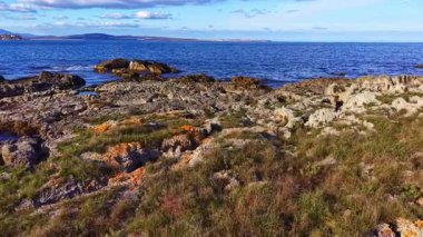Dalgalar engebeli kayaları nazikçe öperken çimen ve liken parçaları kıyı boyunca gelişir ve güneşli bir günde deniz kenarında sakin bir atmosfer yaratır..