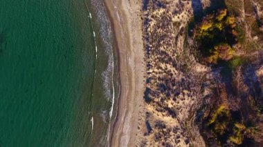 Güneş ışığı kumlu sahilde sıcak bir parıltı saçarken yumuşak dalgalar kıyıya vurur. Bereketli yeşillik kıyı şeridini kuşatmış, deniz kenarında huzurlu bir geri çekilme yaratmış..