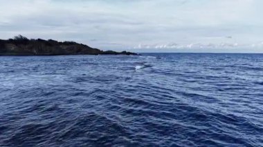 Yumuşak dalgalar engin mavi okyanus boyunca dalgalanır engebeli kayalıkların yanında, bulutlu bir gökyüzünün altında, alacakaranlıkta barışçıl bir atmosfer yaratır..