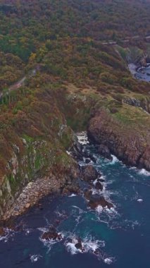 Altın ve kırmızı yapraklar, çarpan dalgalarla karşılaşan kayalık kayalıkları süslüyor. Huzurlu okyanus, engebeli manzarayla ve arka plandaki renkli ağaçlarla güzel bir tezat oluşturuyor..