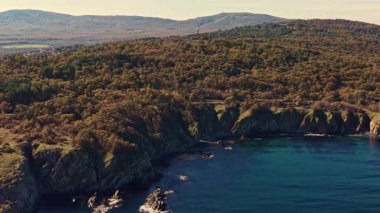 Dalgalar kayalık kayalıklara çarparken altın ağaçlar açık mavi bir gökyüzünün altında kıyı boyunca uzanır. Sakin bir sonbahar gününde doğa bu kıyı cennetinde huzur içinde gelişir..