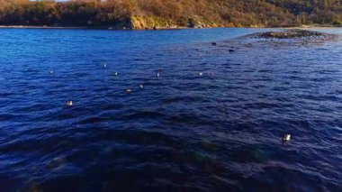 Güneş tepelerin ardında batarken ördekler sakince süzülür, gökyüzünü sıcak renklerle boyarlar ve sakin nehir manzarası boyunca sakin bir atmosfer oluştururlar..