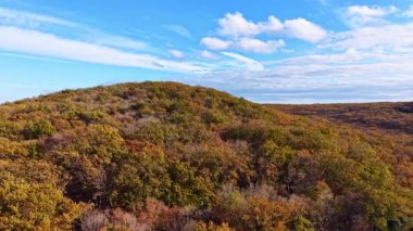 Altın ve kırmızımsı yapraklar, sıcak güneş ışığını yakalayarak pürüzsüz bir yamacı kaplarlar. Pofuduk bulutlar, berrak mavi bir gökyüzünde tembelce süzülür ve sakin bir sonbahar atmosferi yaratır..