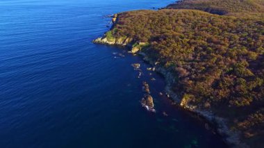 Sabah ışığı engebeli kıyı şeridini, yemyeşil alanları ve derin mavi okyanusu aydınlatır. Dalgalar yavaşça kayalara çarpar ve barışçıl bir atmosfer yaratır..