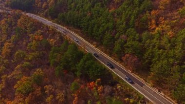 Parlak sonbahar renkleriyle örtülü dağların arasından manzaralı bir yol kıvrılır. Arabalar ağaçlar arasında huzur içinde dolaşır, açık mavi gökyüzünün altında güzel bir manzara yaratır..