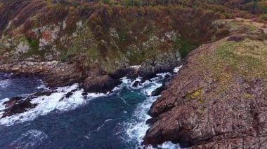 Güçlü dalgalar uzak bir sahil şeridinin güzelliğini gösteren kayalık kayalıklara çarpar. Sonbahar renkleri manzarayı süsler, okyanus kenarında huzurlu bir manzara yaratır..