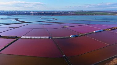 Güneş batarken, parlak sularla ve uzak şehir siluetleriyle çevrili engin tuz düzlüklerinde kırmızı ve pembe dansların canlı gölgeleri gökyüzünü yumuşak renklerle boyuyor..