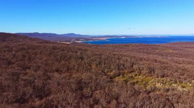 Sahne, arka planda az sayıda ağaç ve sakin bir su kütlesi olan geniş bir alanı gösteriyor. Gökyüzü açık ve mavidir ve tepeler uzaklardan görülebilir..