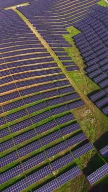 Güneş panellerinin sıraları kırsal bir alanda yer boyunca uzanıyor ve enerji için güneş ışığı topluyor. Sahne net bir düzen ve alan kullanımını gösteriyor.