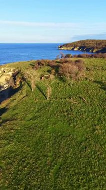 Yeşil tepeler mavi denize bakar. Ağaçlar yamaçlara saçıldı. Güneş ışıl ışıl parlıyor, manzarayı aydınlatıyor. Kıyı şeridi kayalık alanları gösteriyor..