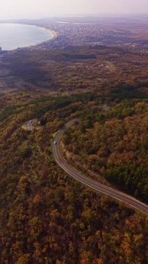 Sonbahar renkleriyle dolu bir ormanın içinden geçen dolambaçlı bir yol kıyı şeridine doğru uzanıyor. Dağlar arka planda oturur. Sahne huzurlu bir yolculuk deneyimi gösteriyor..