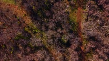 Sahne çıplak ağaçlar ve dolambaçlı toprak yolu olan bir orman gösteriyor. Manzara farklı renklerde birçok kaya ve arazi parçasına sahiptir. Güneş ışığı yere gölge düşürür..