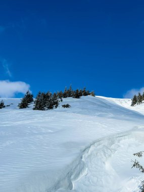 Bir kış sahnesinde tepeler ve ağaçlar karla kaplanır. Açık mavi bir gökyüzü, kar üzerinde güneş ışığı parlarken arka planı doldurur. Ortalık sessiz ve soğuk..