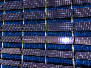 Güneş panellerinin sıraları bir güneş çiftliğine kurulur. Paneller güneş ışığını yakalamak için yukarı bakıyor. Sahne temiz bir gökyüzünü ve düzgünce dizilmiş birçok paneli gösteriyor..