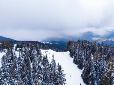 Kayakçılar dağlık bir bölgede karlı yamaçlardan aşağı inerler. Gökyüzü bulutlu ve yollar ağaçlarla çevrili. Kış manzarası yaratıyorlar..