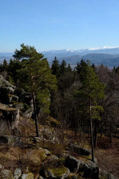 Rocas en las montañas de Karkonosze —  Fotos de Stock