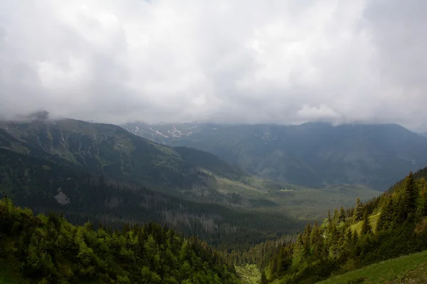 Valle de Koscieliska y picos en las nubes — Foto de Stock