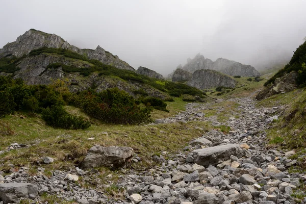 Камни и скалы на склоне горы в тумане — стоковое фото