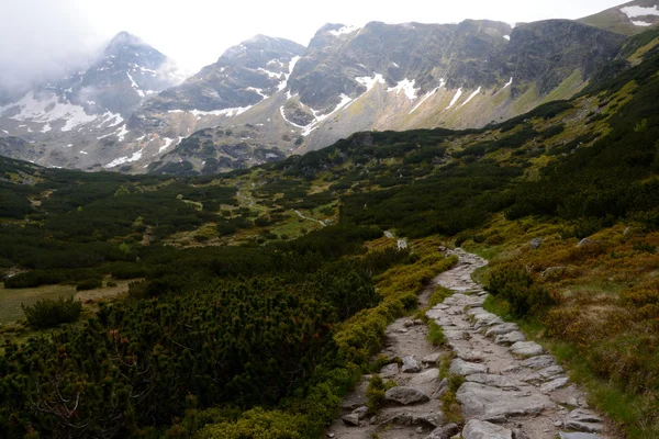 Trail, toppar och moln i Gasienicowa valley — Stockfoto