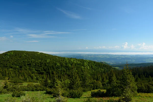 Vista da trilha do vale de Gasienicowa para Kuznice — Fotografia de Stock