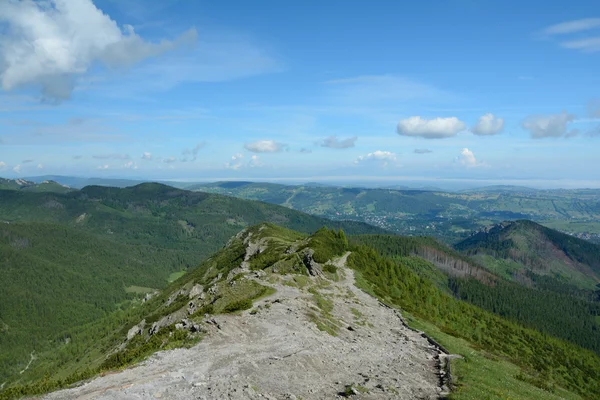 View towards Zakopane from trail to Gasienicowa valley. — Stock Photo, Image