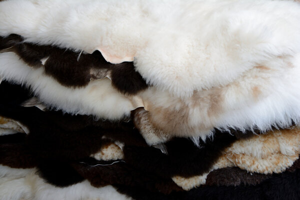 Куча овечьих кож
