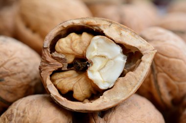 Kırık cevizli tatlı