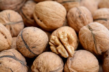 Kahverengi bütün ceviz ve ceviz çekirdek portre